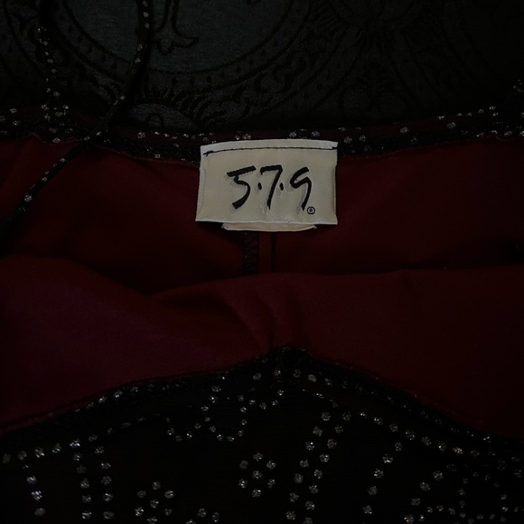 vintage burgundy overlay 579 mini dress ༄ - Picture 4 of 4